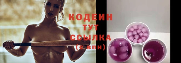 молекула духа Арсеньев