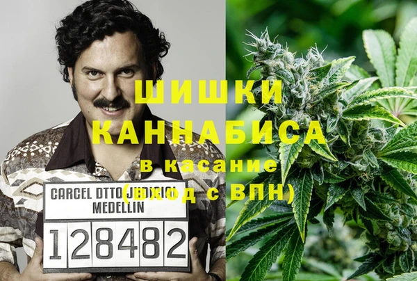 стафф Армянск