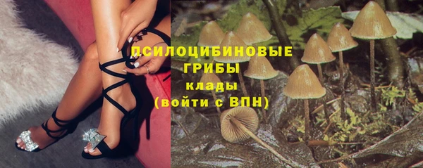 молекула духа Арсеньев