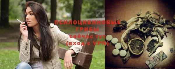 молекула духа Арсеньев